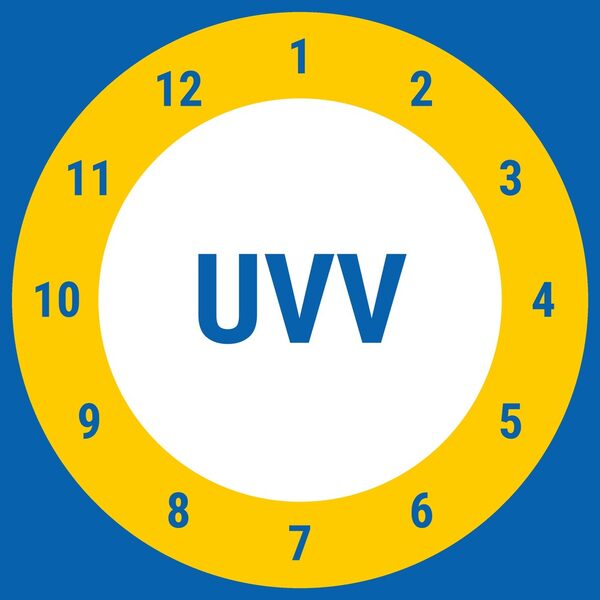 UVV-Prüfung